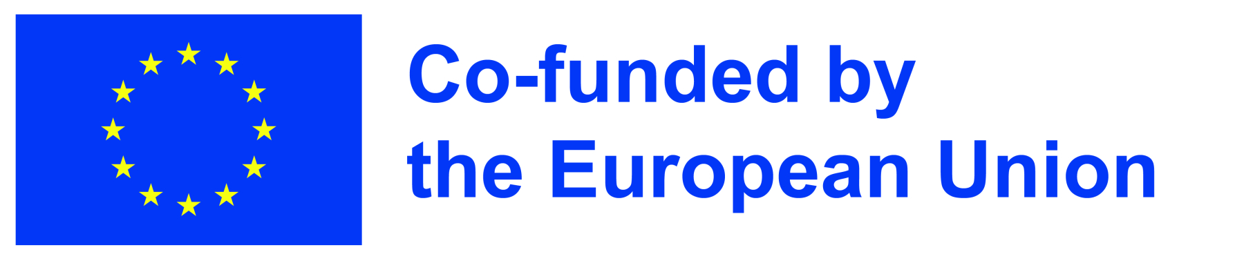 UE flag and information