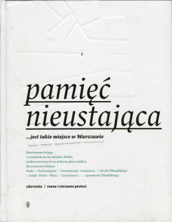 Pamięć nieustająca