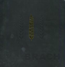 Stanisław Brach
